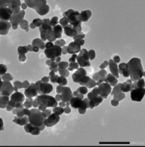 084218_000538_gsdt.png image.png