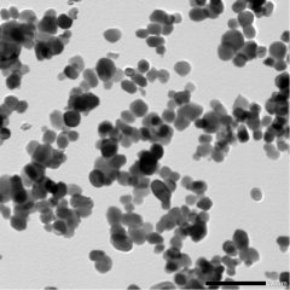 084329_092759_gsdt.png image.png