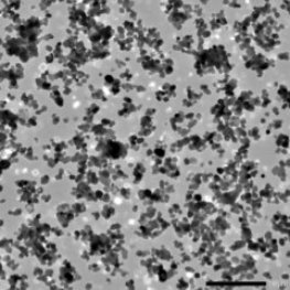 084403_331446_gsdt.png image.png