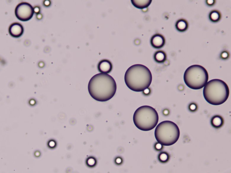 170353_095488_gsdt.png 170353_095488_gsdt.png