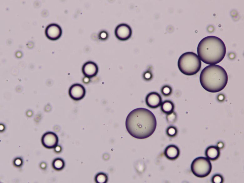 170355_772232_gsdt.png 170355_772232_gsdt.png