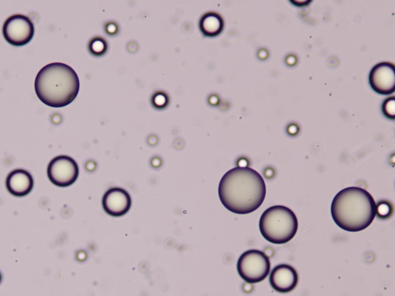 170358_178852_gsdt.png 170358_178852_gsdt.png