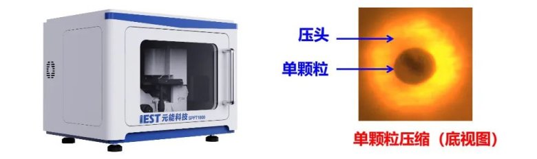 090822_017853_jswz.jpg 090822_017853_jswz.jpg