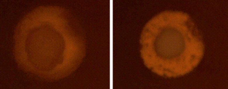 091056_094666_jswz.png 091056_094666_jswz.png