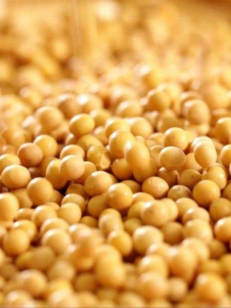 100843_269200_gsdt.jpg 微信圖片_20250220100518.jpg