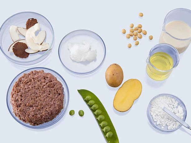 144656_454719_gsdt.jpg 144656_454719_gsdt.jpg