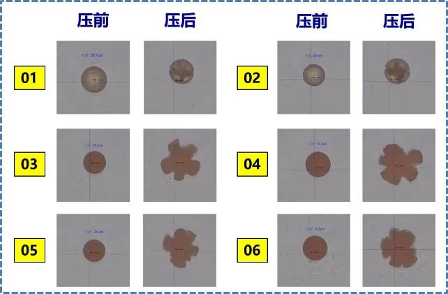 110640_843291_jswz.jpg 110640_843291_jswz.jpg