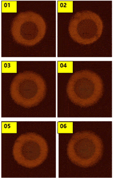 111332_138312_jswz.gif 3_compressed.gif