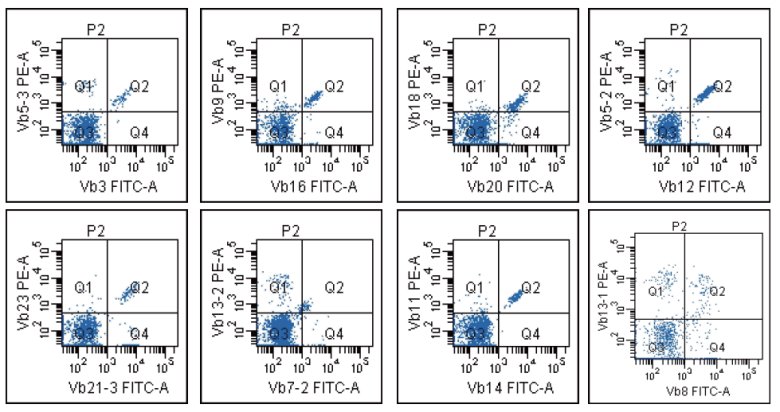 113140_163694_gsdt.png 113140_163694_gsdt.png