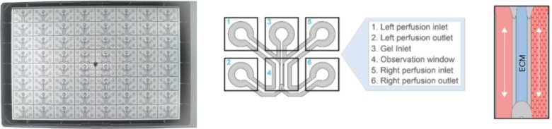 114150_386146_jswz.png 114150_386146_jswz.png