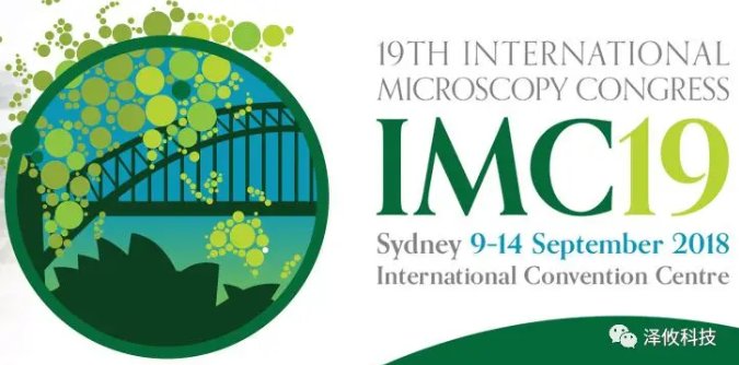 085833_884763_gsdt.png image.png