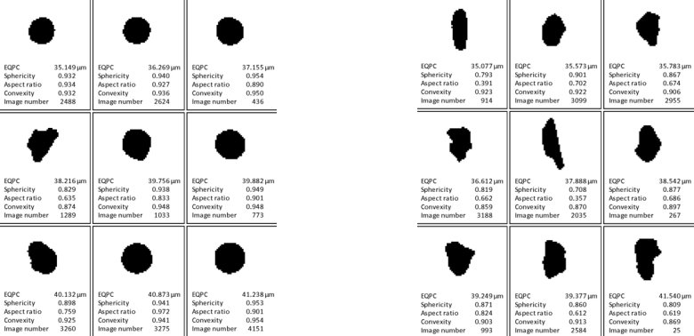 113726_927688_gsdt.png 圖片1.png