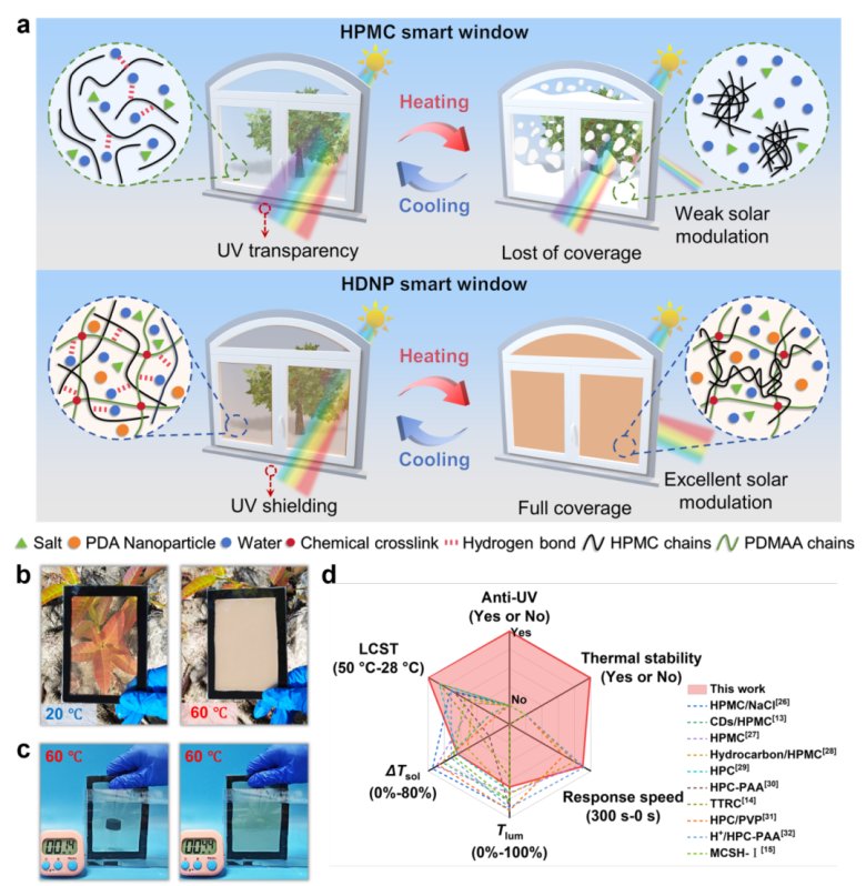 081831_191607_gsdt.png 081831_191607_gsdt.png