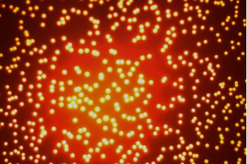 102627_608423_gsdt.png 102627_608423_gsdt.png