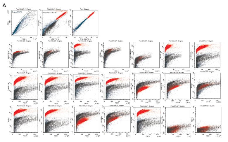 141822_360007_jswz.png 141822_360007_jswz.png