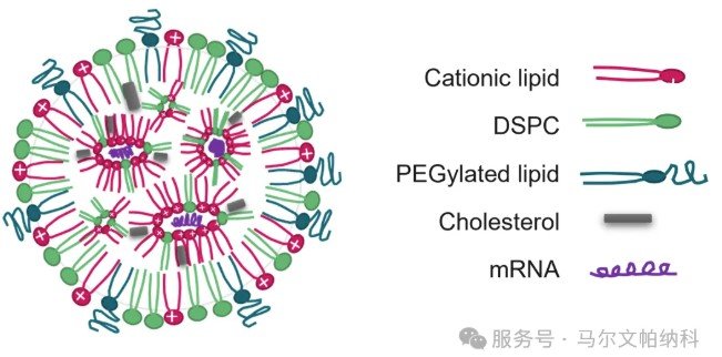 141614_982344_jswz.jpg 141614_982344_jswz.jpg