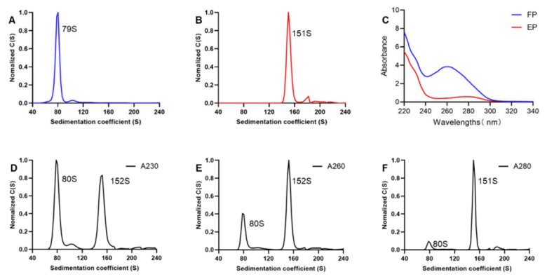 103140_733914_jswz.png 103140_733914_jswz.png