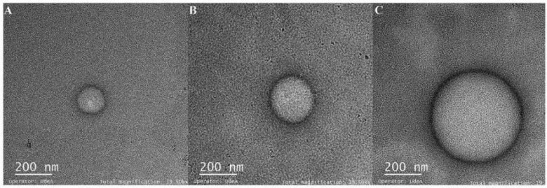 084738_403724_jswz.jpg 084738_403724_jswz.jpg