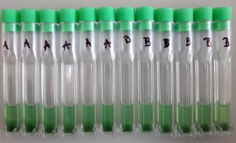 085017_084908_jswz.png 085017_084908_jswz.png