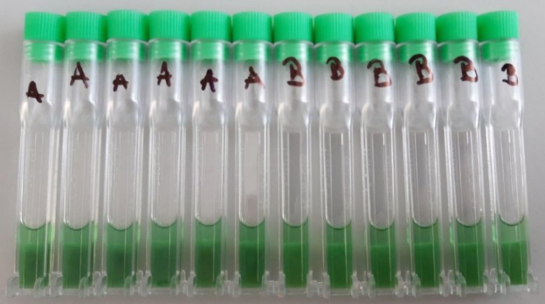 085129_947063_jswz.png 085129_947063_jswz.png