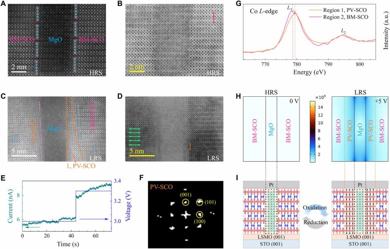 091503_088736_gsdt.png 091503_088736_gsdt.png