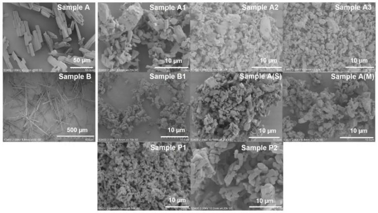 101144_397376_jswz.jpg 101144_397376_jswz.jpg