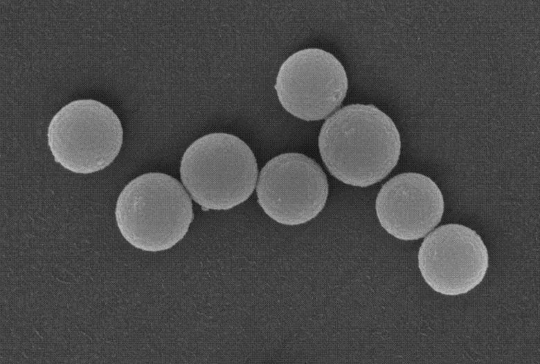 084421_327920_gsdt.png 圖片4.png