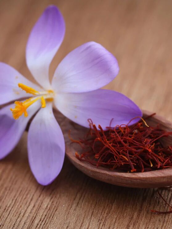 132331_523768_jswz.jpg 微信圖片_2025-09-11_132319_340.jpg