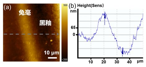 084616_851779_jswz.png 微信圖片_20250912084343.png