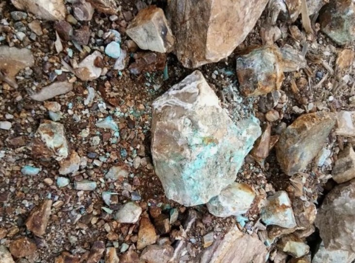 090952_808129_gsdt.jpg 090952_808129_gsdt.jpg