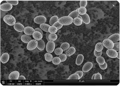 095354_642206_jswz.png 095354_642206_jswz.png