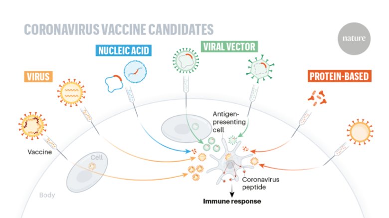 090528_093180_jswz.png 090528_093180_jswz.png