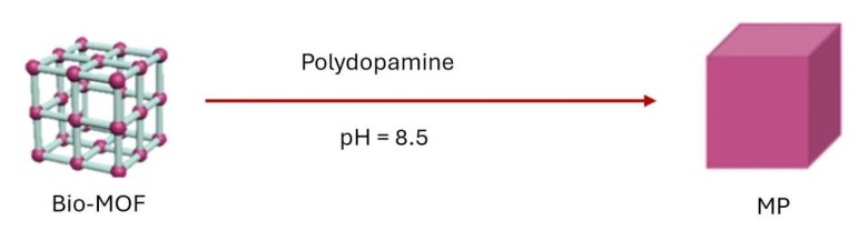 105816_063321_jswz.jpg 105816_063321_jswz.jpg