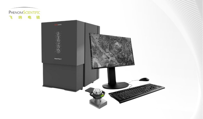phenom pharos STEM臺式掃透電鏡